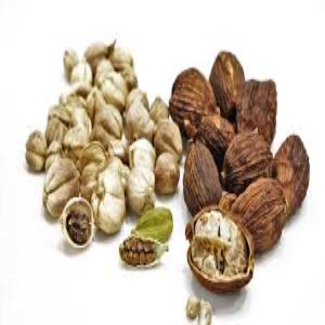 Wholesale Thai Cardamom Supplier in UAE